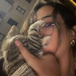 @cerenimo02