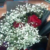 @dukelion-34693