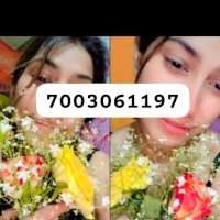 @famouselephant-101360