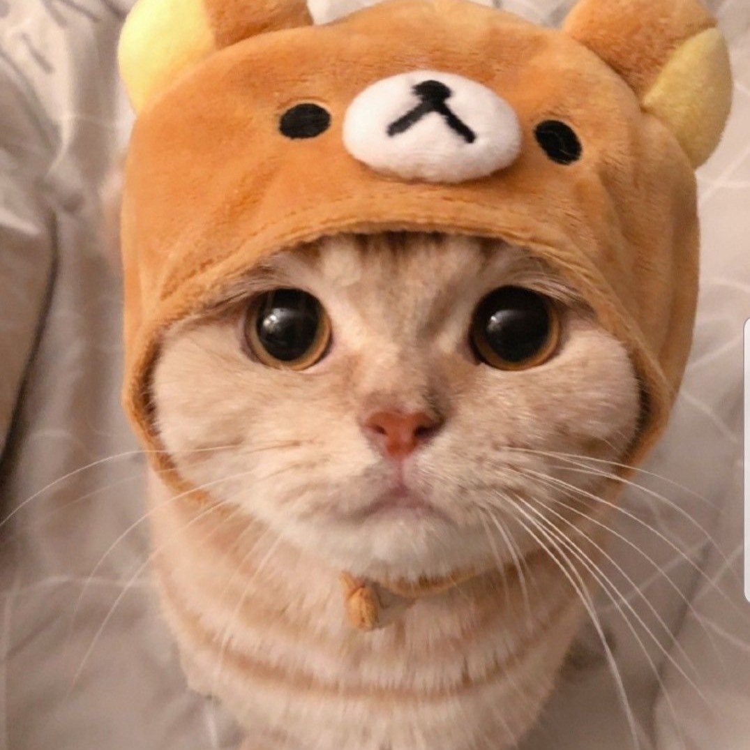 @naaaaaaaaamneeecashh