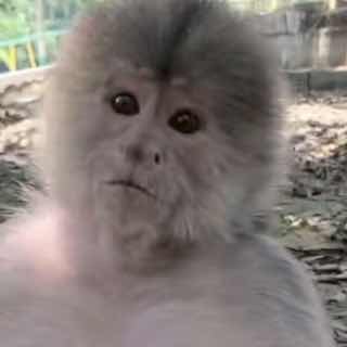 @pkjgrddxcvnko