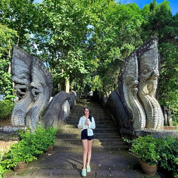 @pretty-crocodile-115426