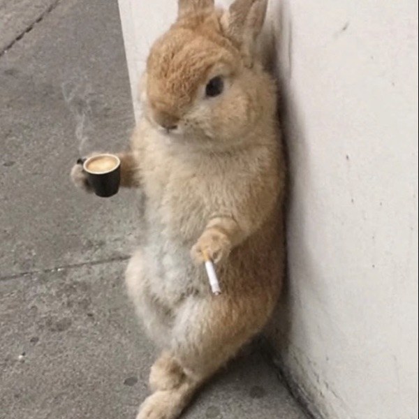 @pukpuk69