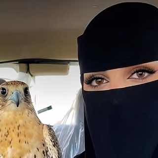 @rawankhbr