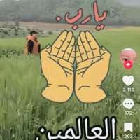 @sarasahmoudi