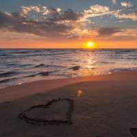 @selinn-2