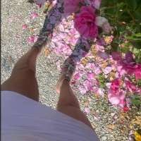 @vey2483