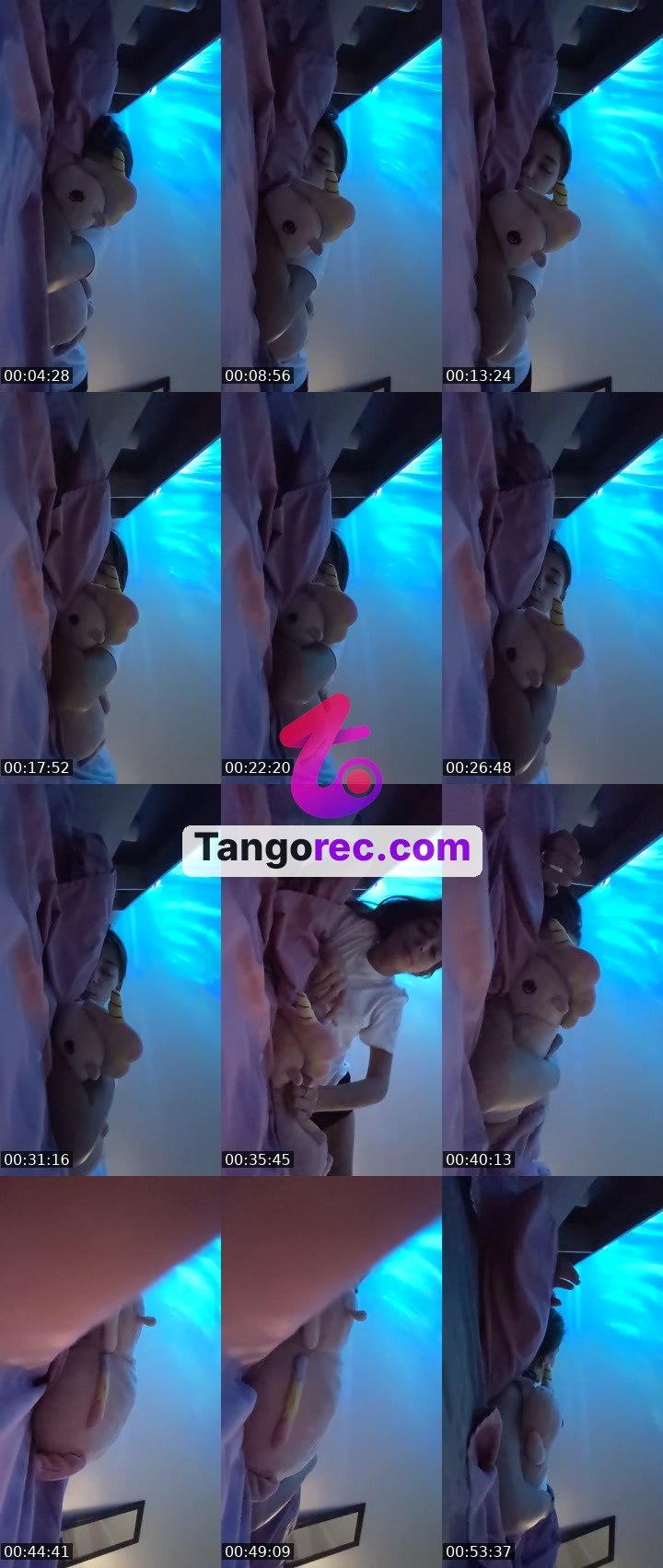 @alina0212 Tango live from 2026-08-26