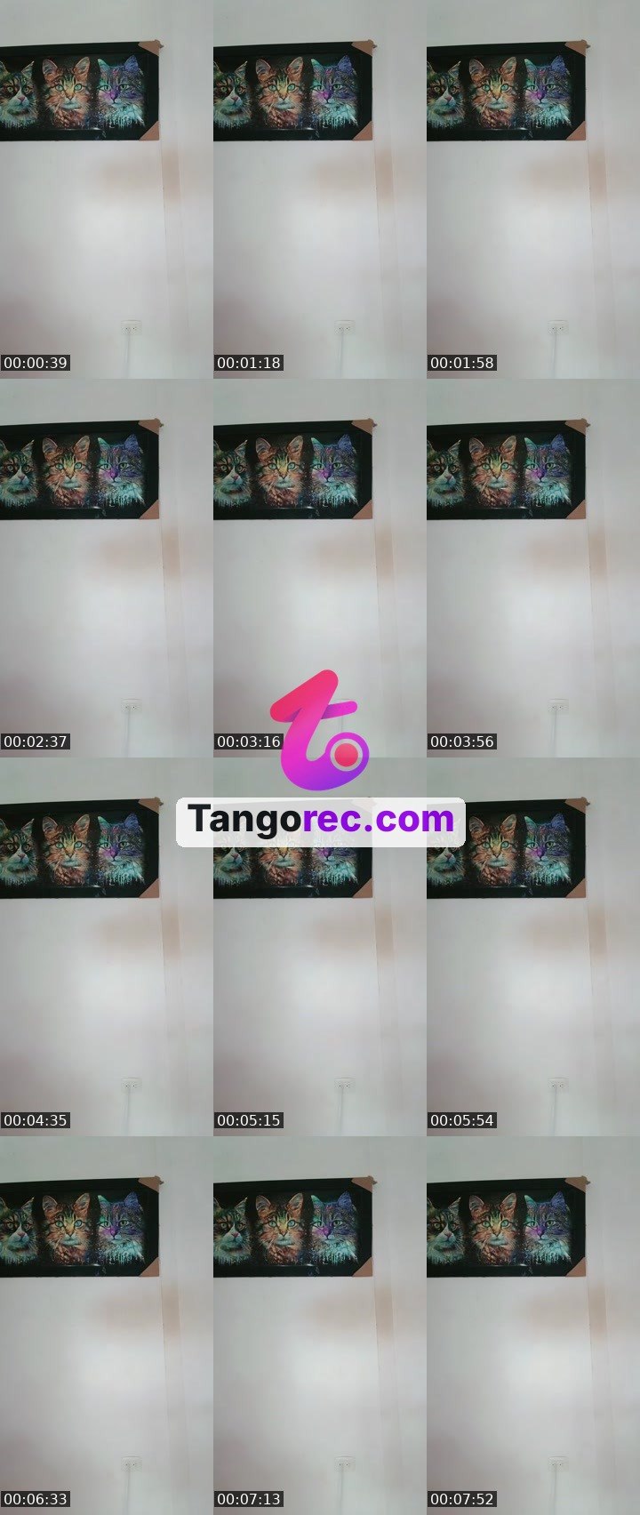 @pamela537 Tango live from 2026-08-26