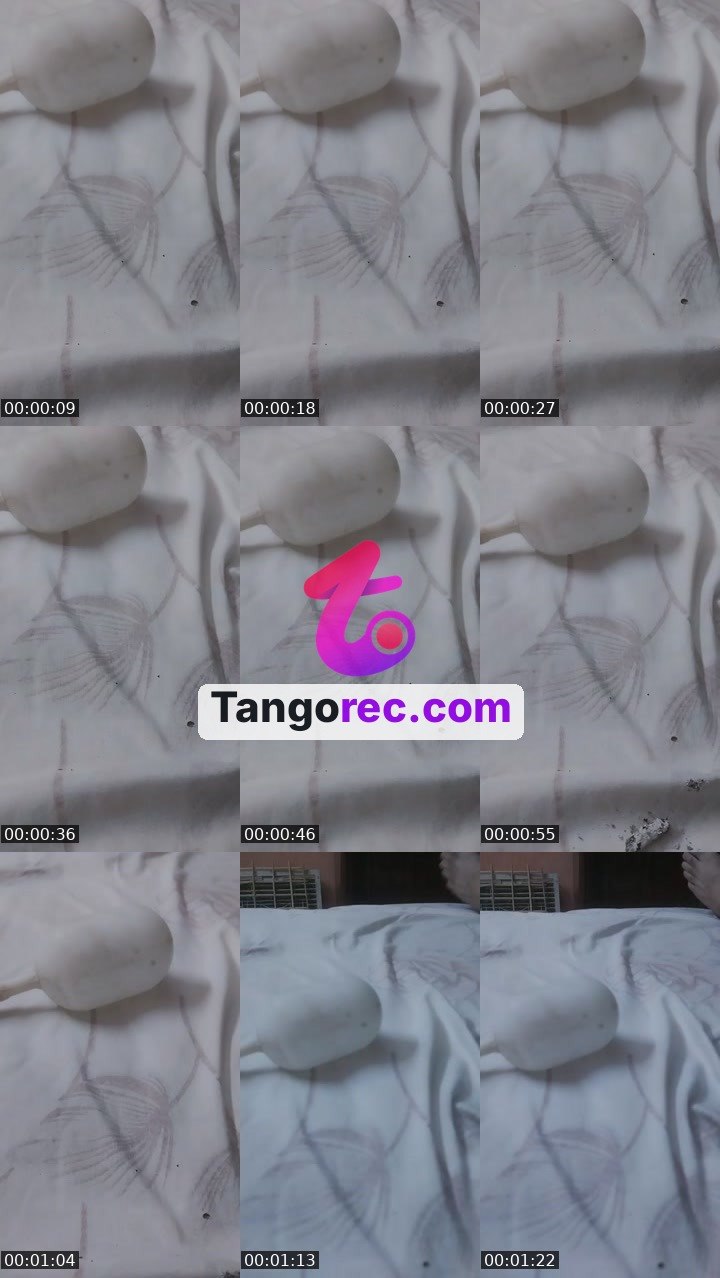 @offfffffsxs Tango live from 2026-08-26