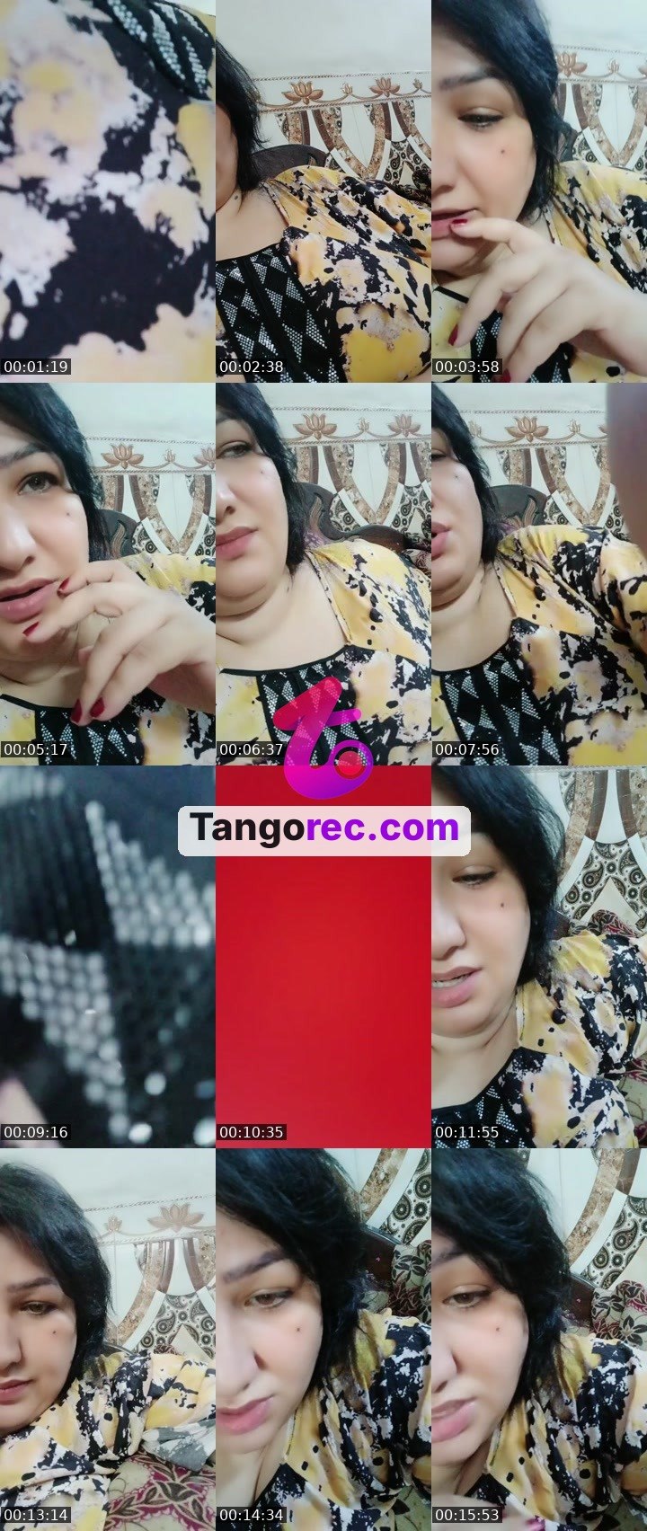 @countcougar-240907 Tango live from 2026-08-26