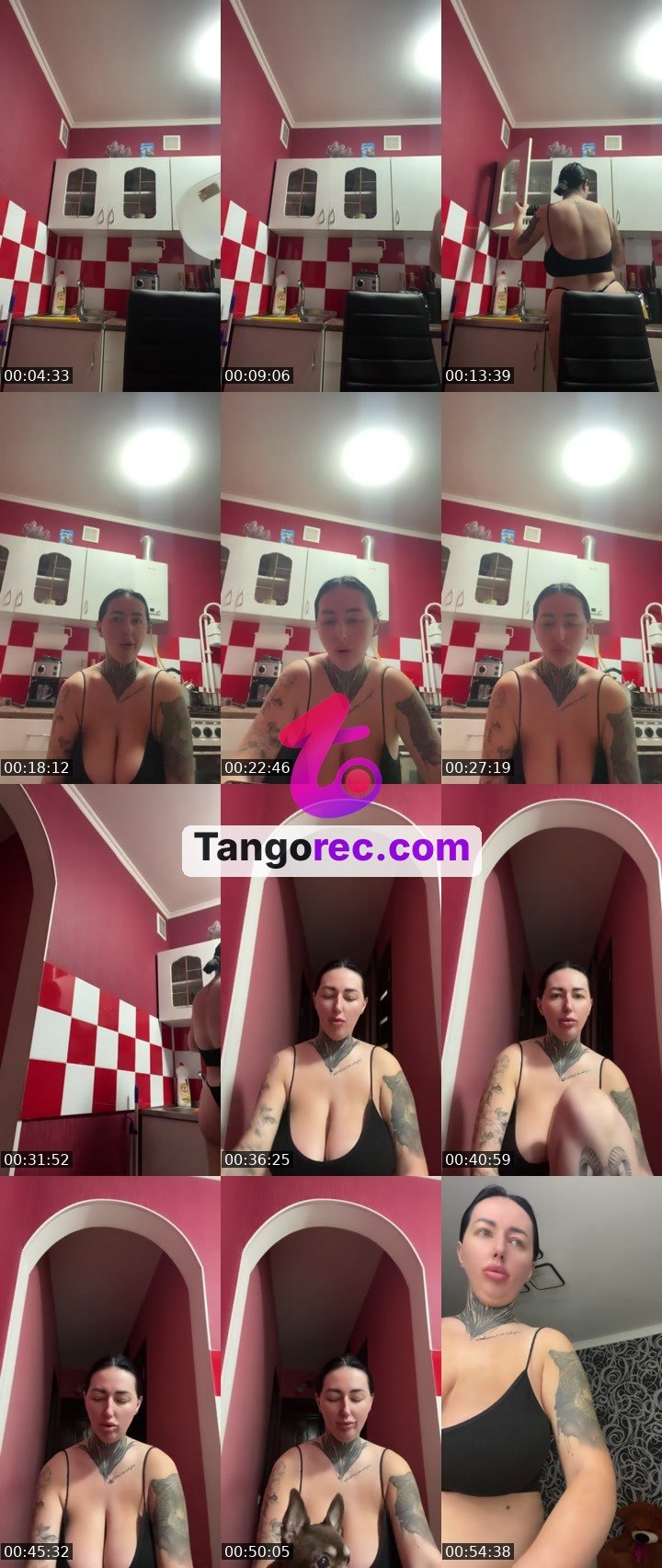 @pantera77777 Tango live from 2026-08-27