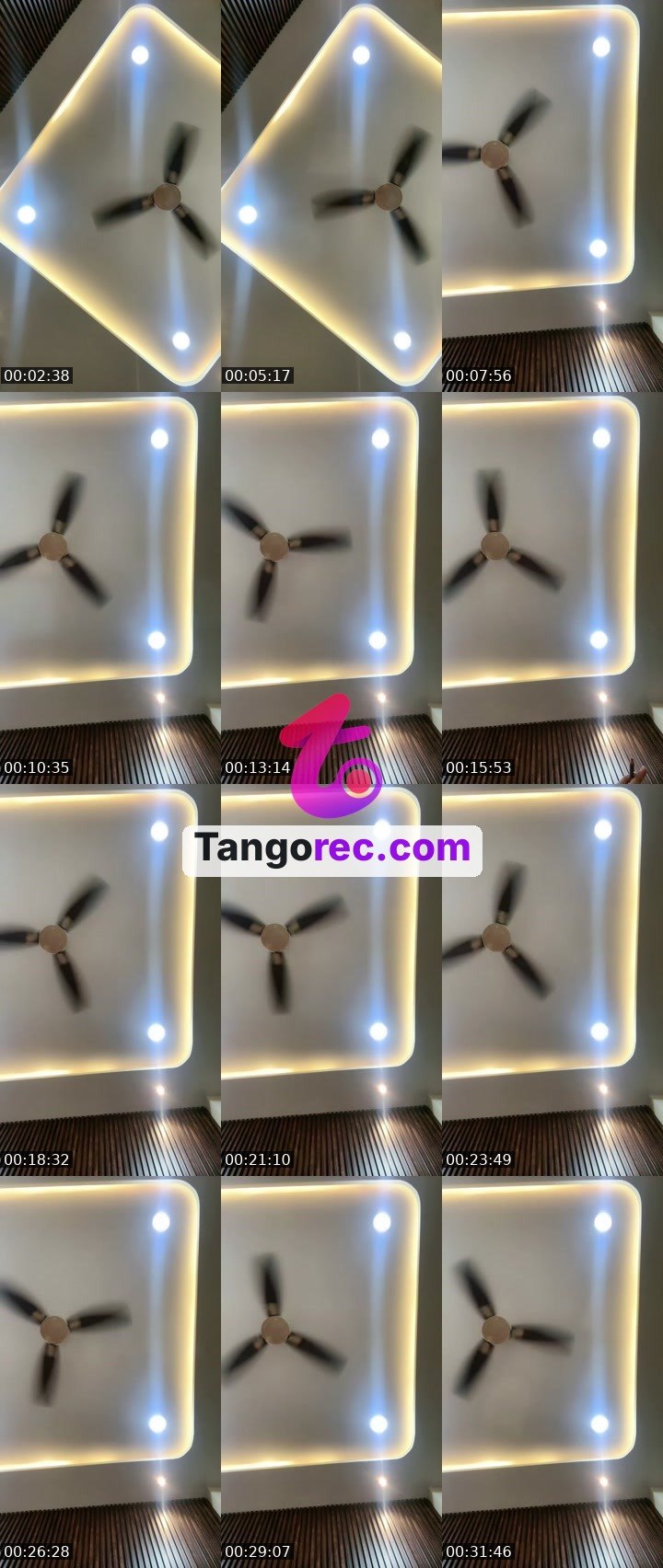 @abundancequeen2314 Tango live from 2026-08-27