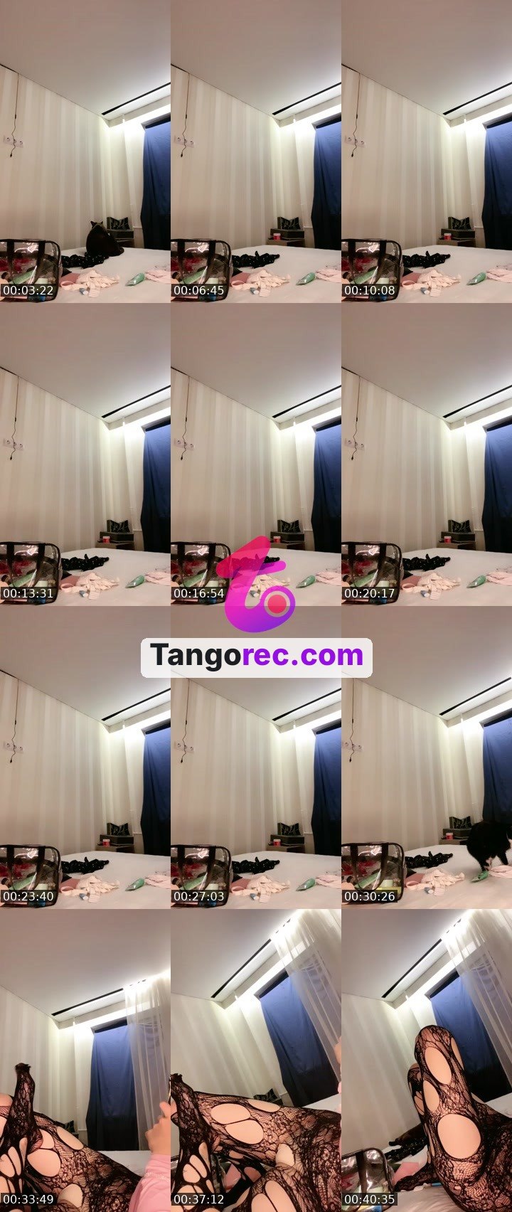 @sas237 Tango live from 2026-08-27