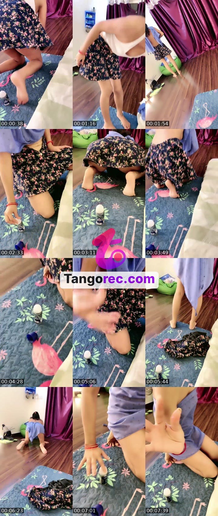 @sweetcorn-3 Tango live from 2026-08-27