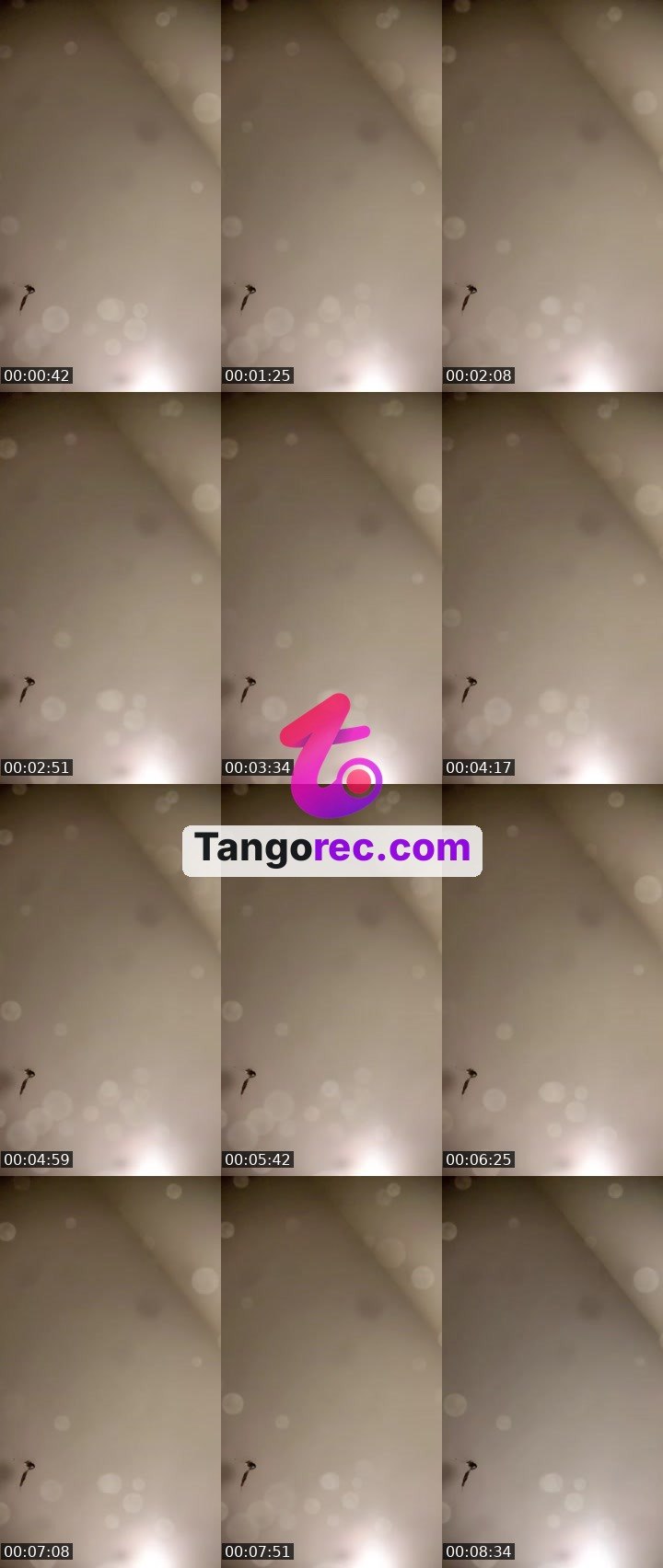 @mny-al-nzy-1 Tango live from 2026-08-27