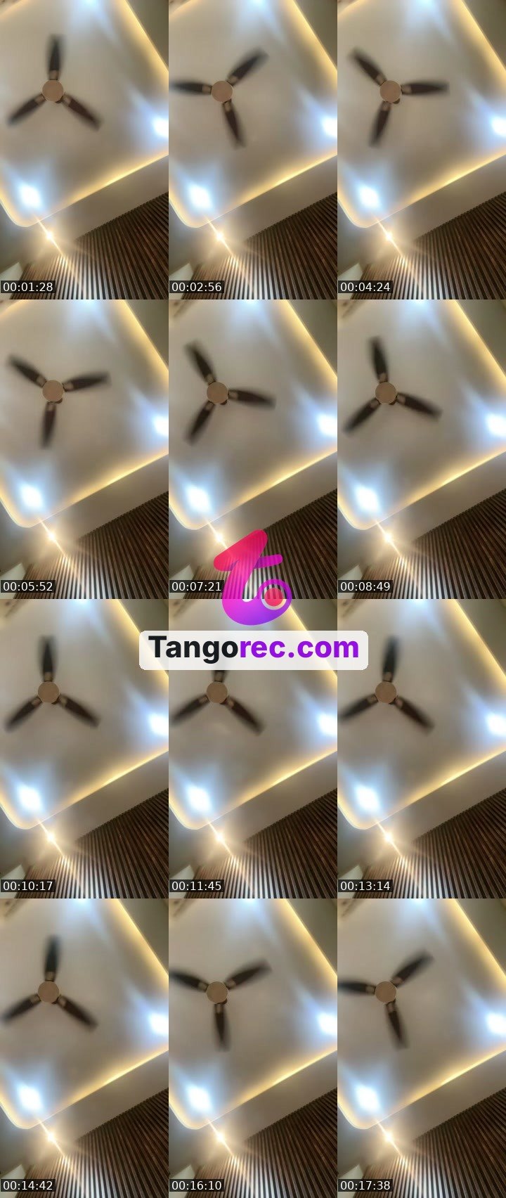 @abundancequeen2314 Tango live from 2026-08-28