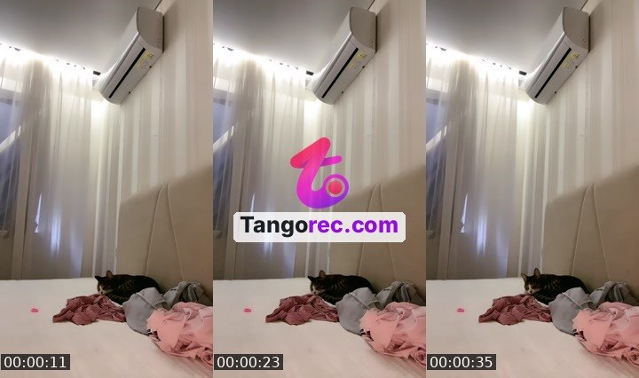 @sas237 Tango live from 2026-08-28