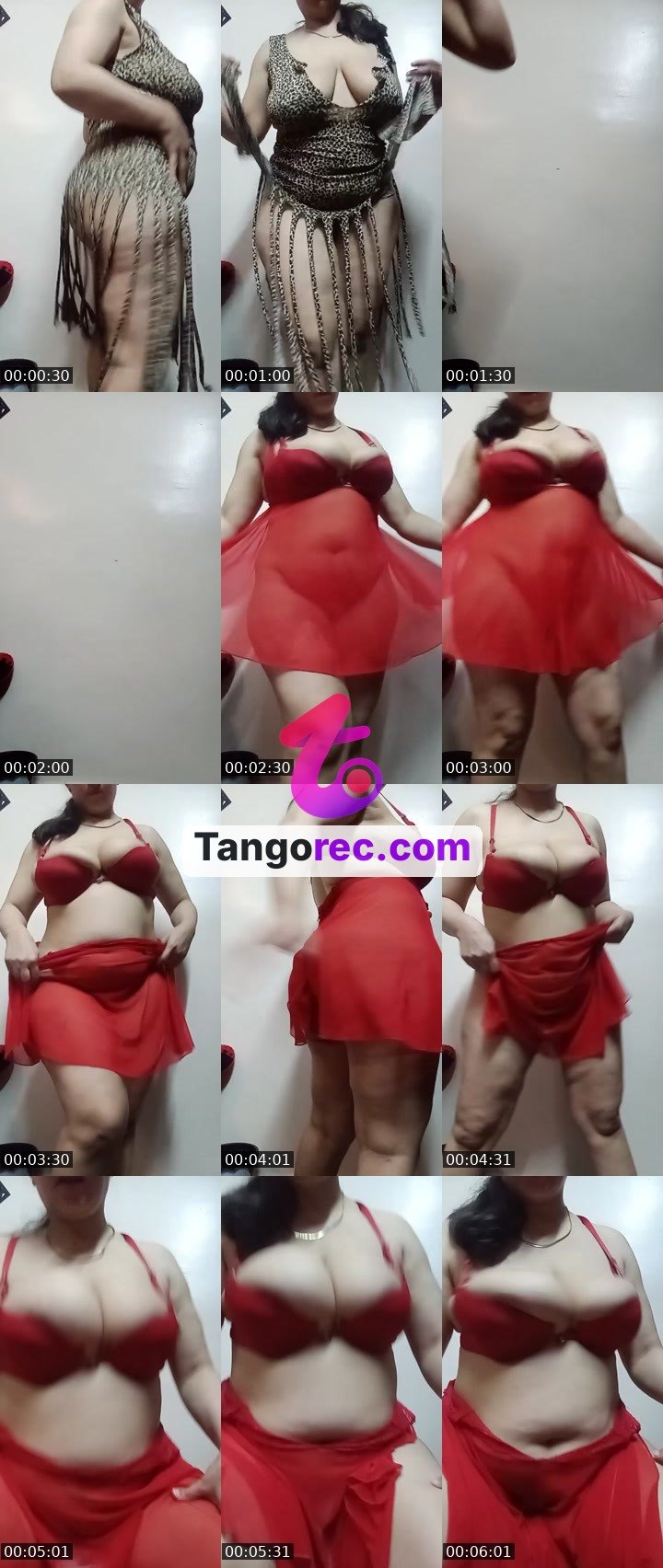 @fly-cobra-196554 Tango live from 2026-08-28