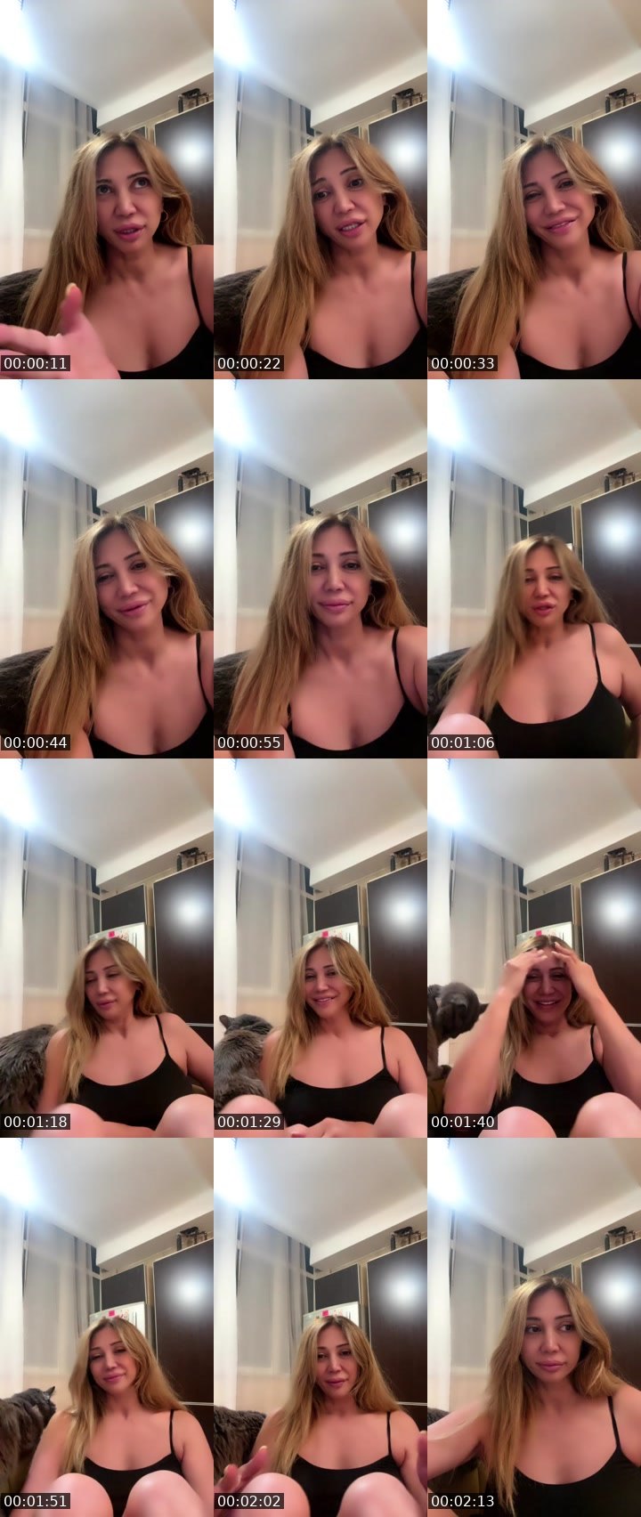 @zehlem Tango LIVE