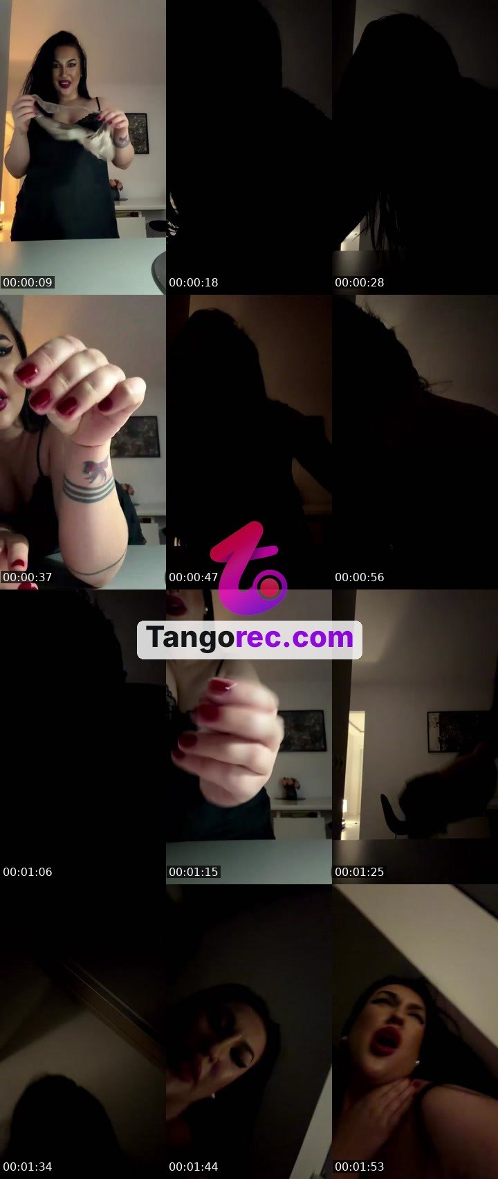 @callly Tango live from 2026-08-28