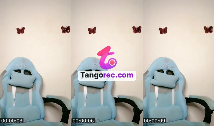 @tactical-bulldog-79078 Tango live from 2026-08-29