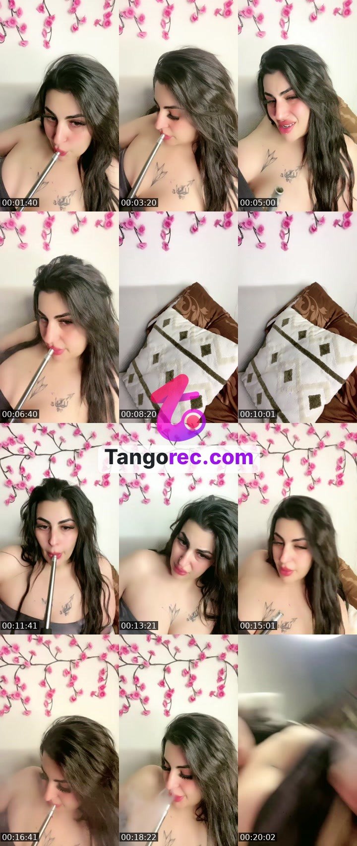 @shahd Tango live from 2026-08-29