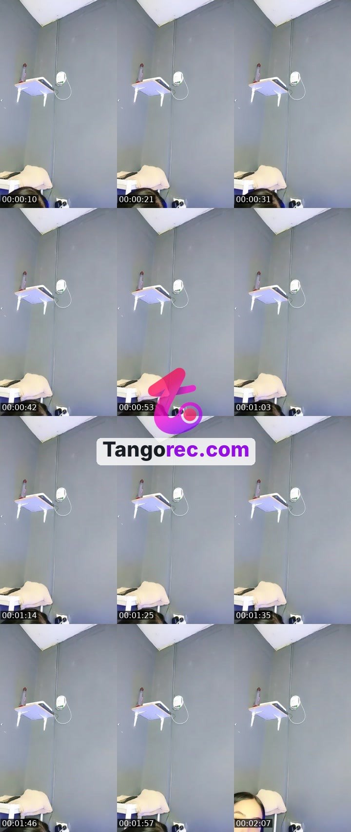 @nikolcilta Tango live from 2026-08-29