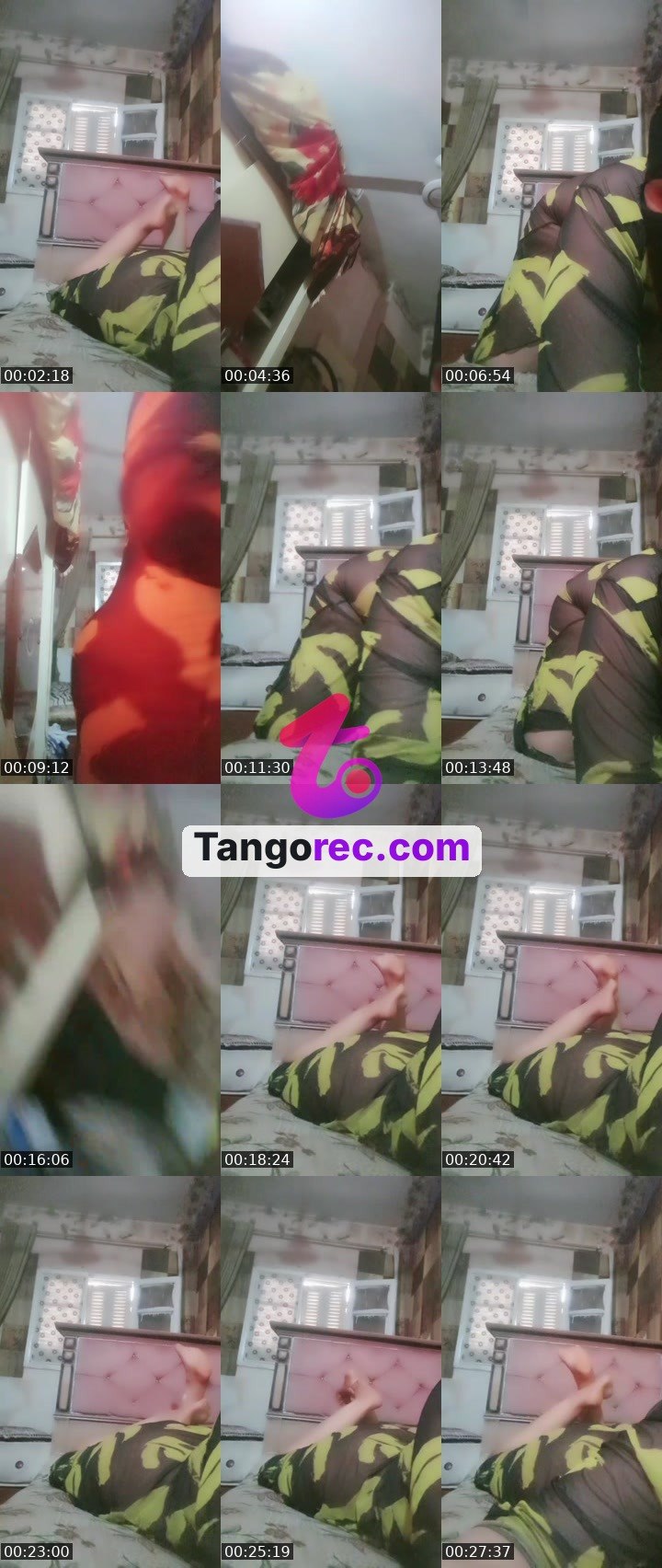 @millionairegorilla-18837 Tango live from 2026-08-29