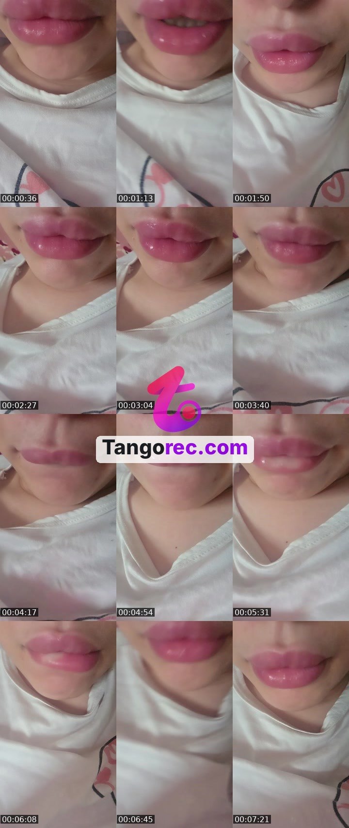 @duke-lion-254421 Tango live from 2026-08-29