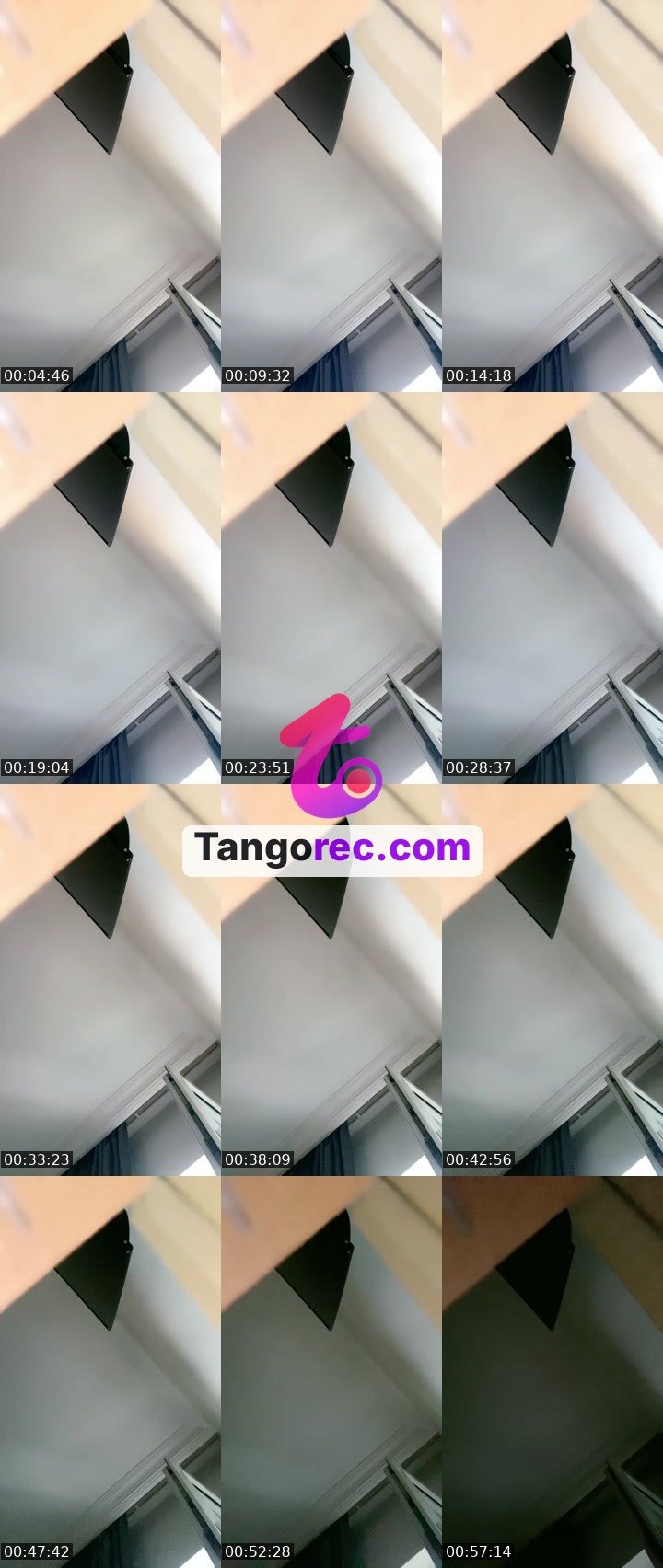 @milla294 Tango live from 2026-08-29