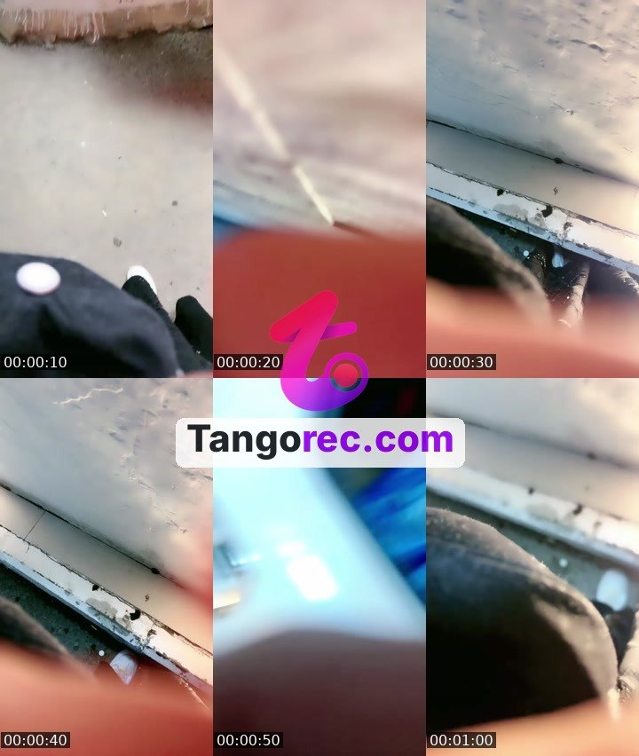 @olp-10 Tango live from 2026-08-29