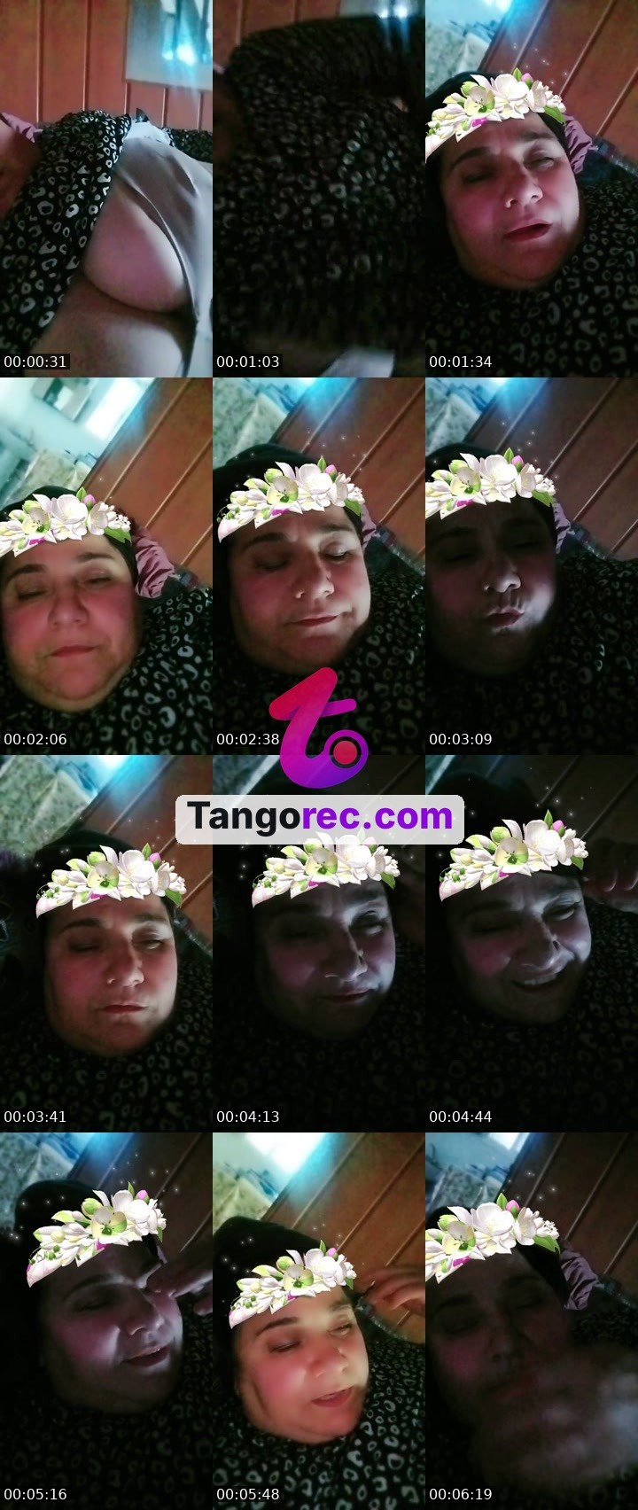 @zingollulu Tango live from 2026-08-29