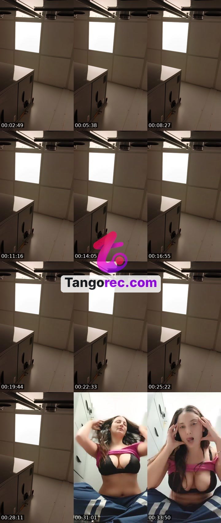 @nicemoose-100515 Tango live from 2026-08-29