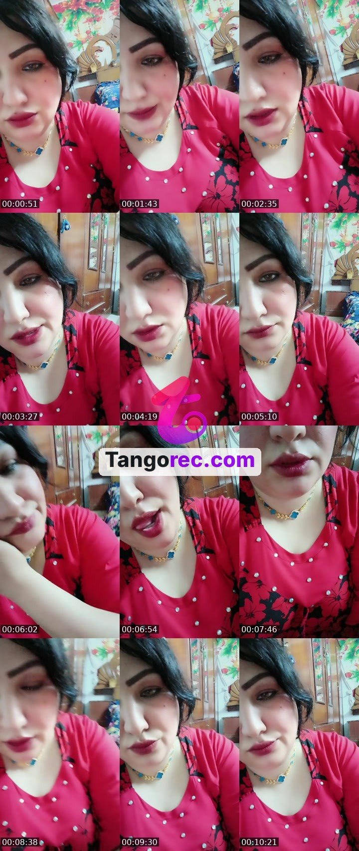 @countcougar-240907 Tango live from 2026-08-29