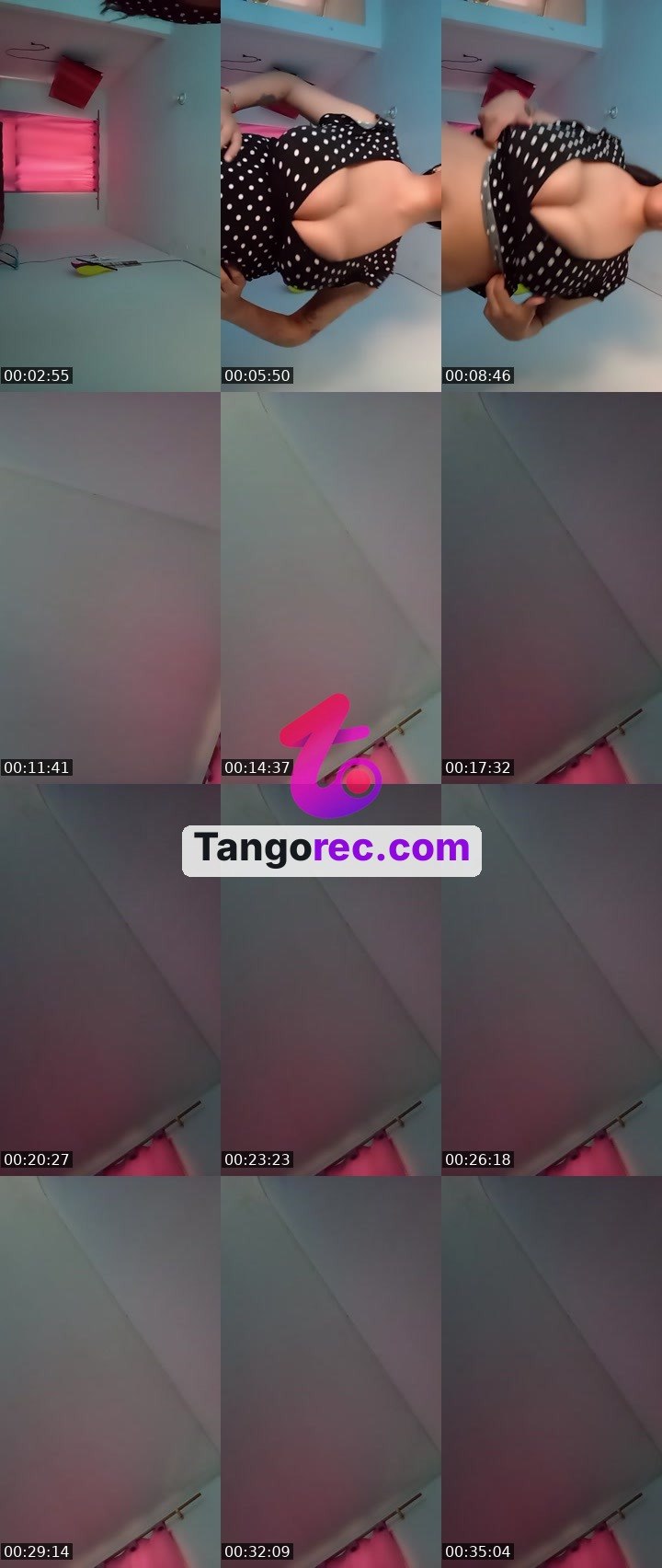 @count-cougar-106423 Tango live from 2026-08-29