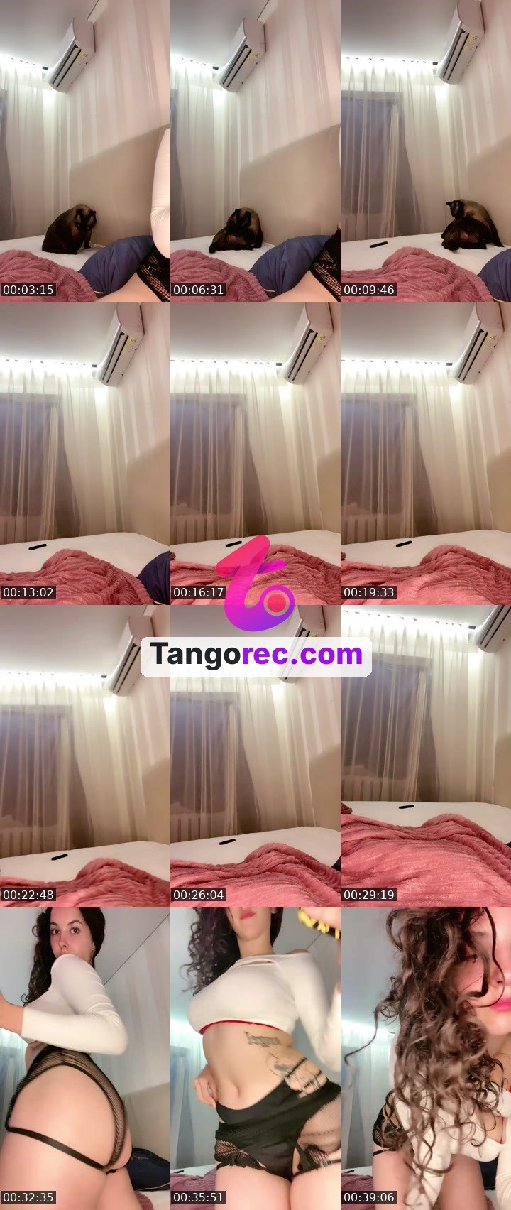 @sas237 Tango live from 2026-08-30