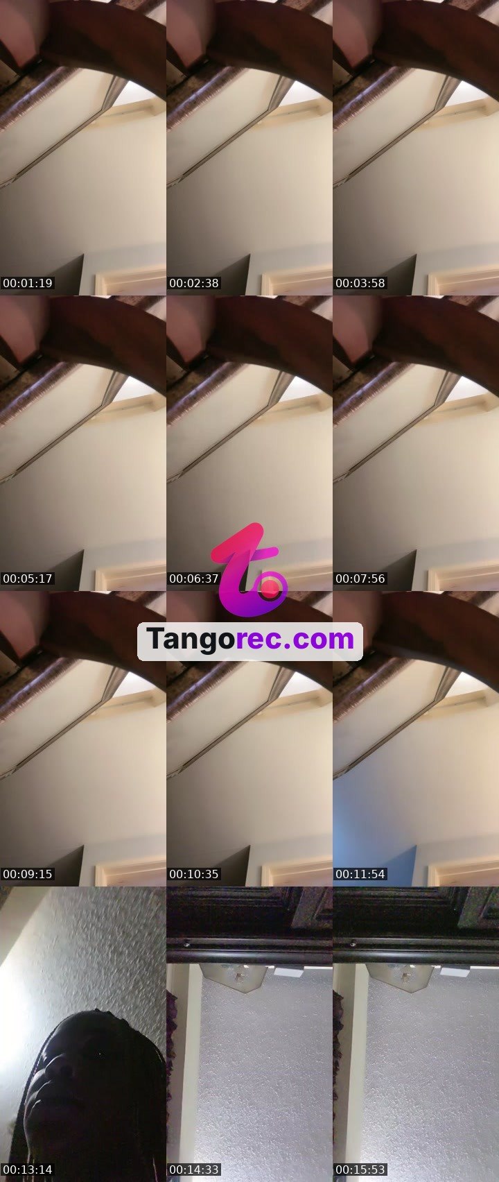 @cocoabunny8 Tango live from 2026-08-30
