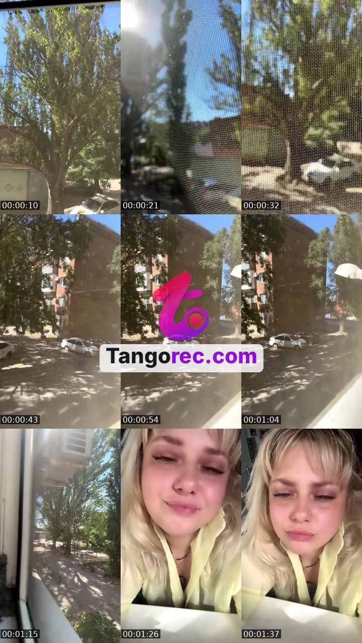 @flintmastiff-482866 Tango live from 2026-08-30