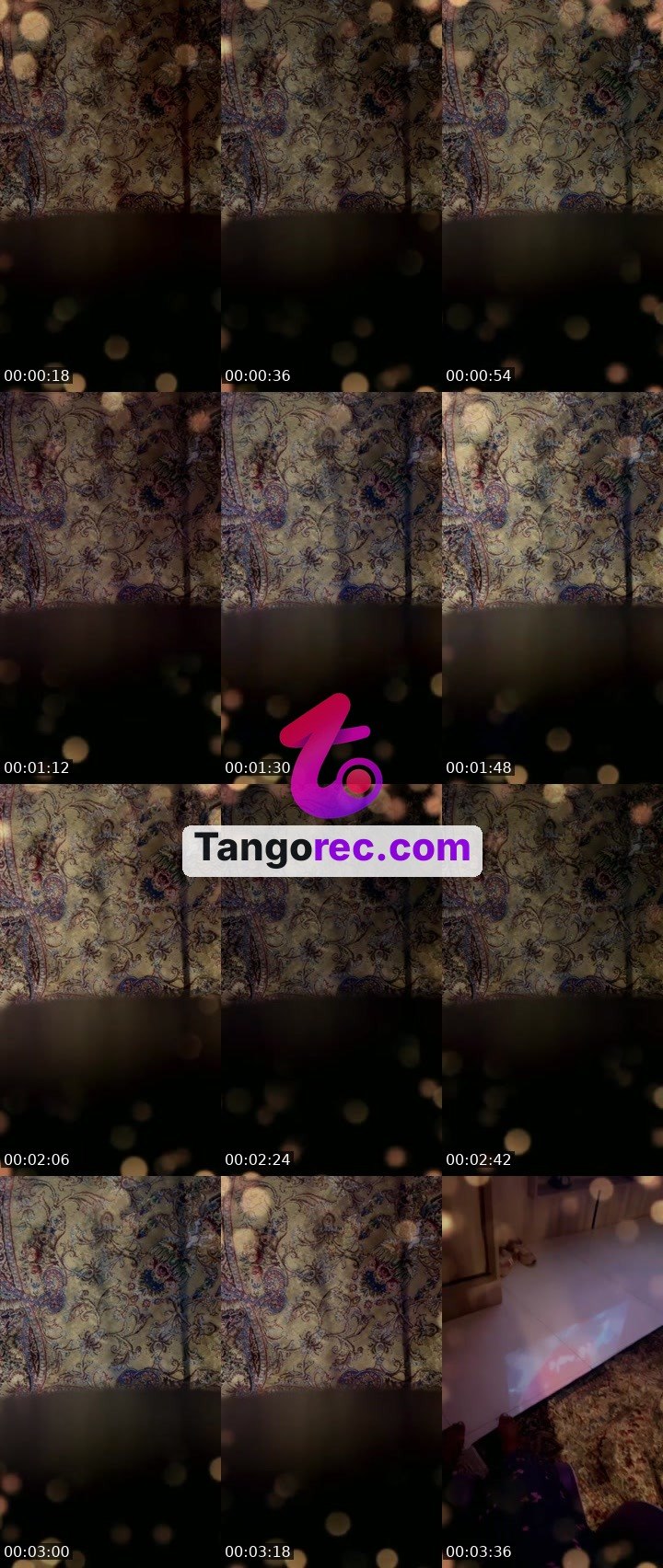 @ironbull-305617 Tango live from 2026-08-30