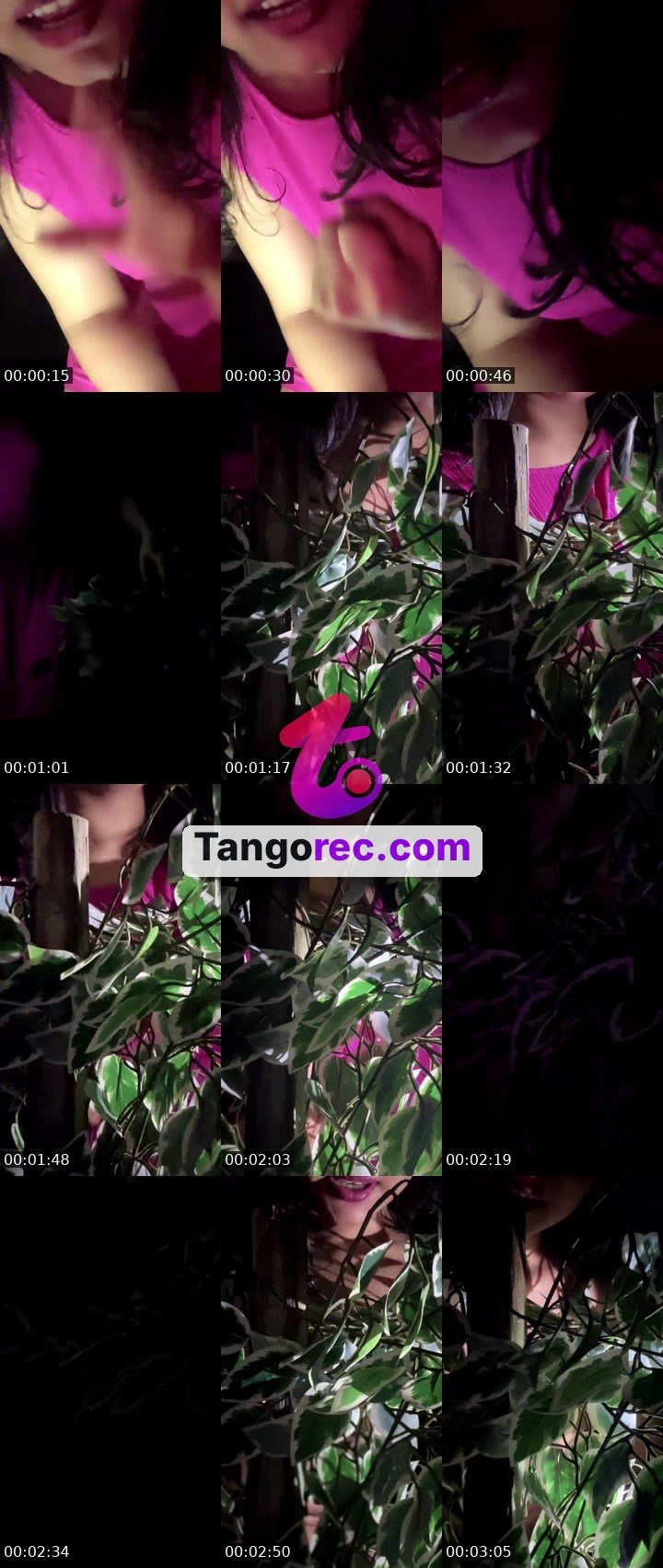 @ebbba Tango live from 2026-08-30