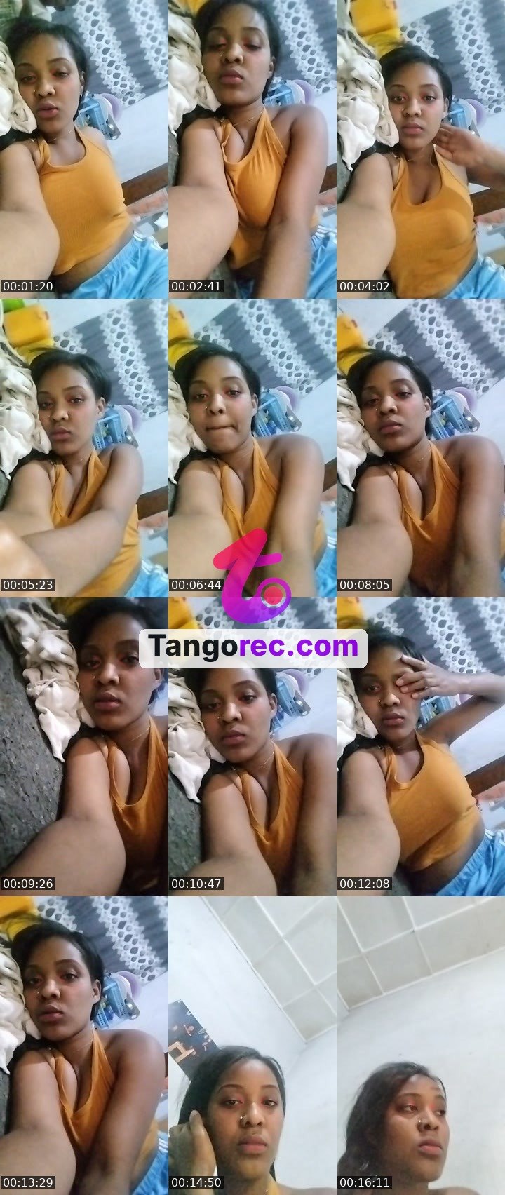 @business-bull-230123 Tango live from 2026-08-30