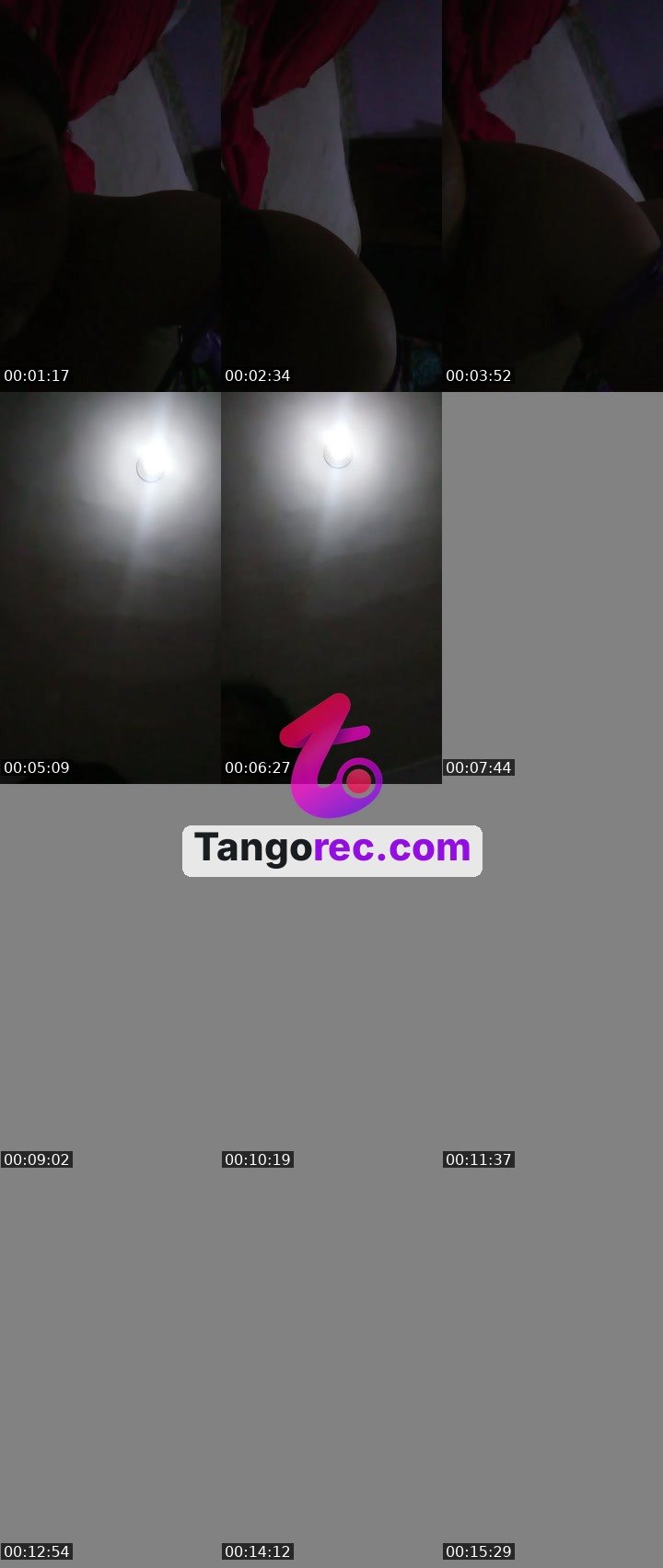 @dancing-fox-81516 Tango live from 2026-08-30
