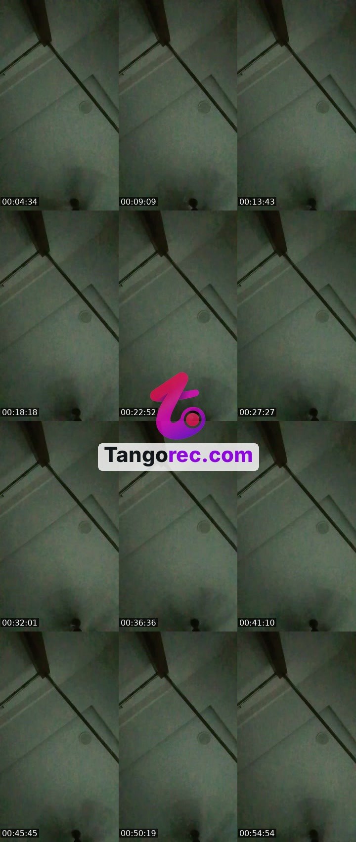 @bangaram2222 Tango live from 2026-08-30