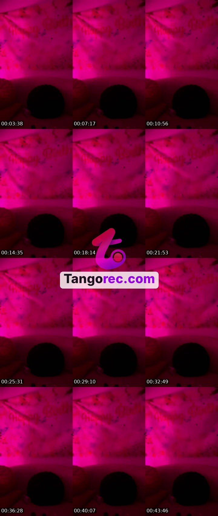 @wetsushi Tango live from 2026-08-31