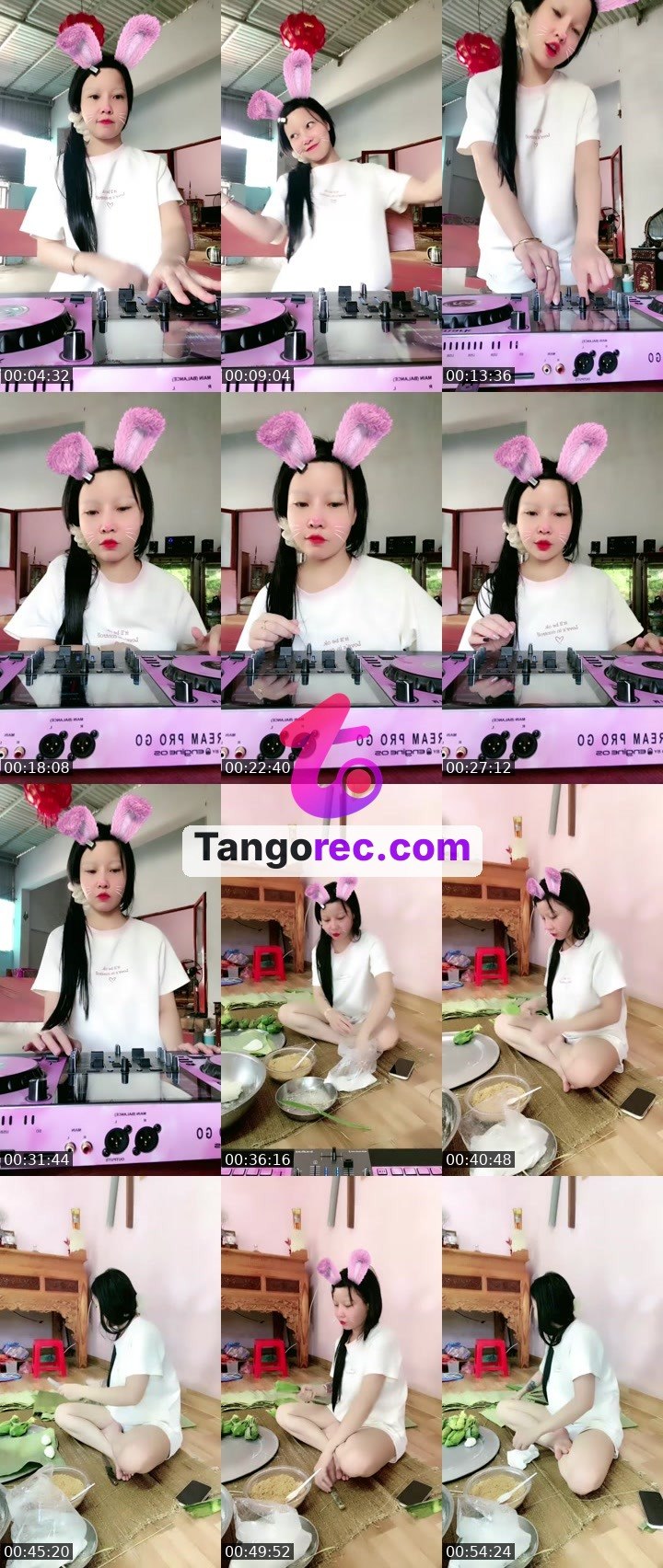 @steel-stallion-457077 Tango live from 2026-08-31