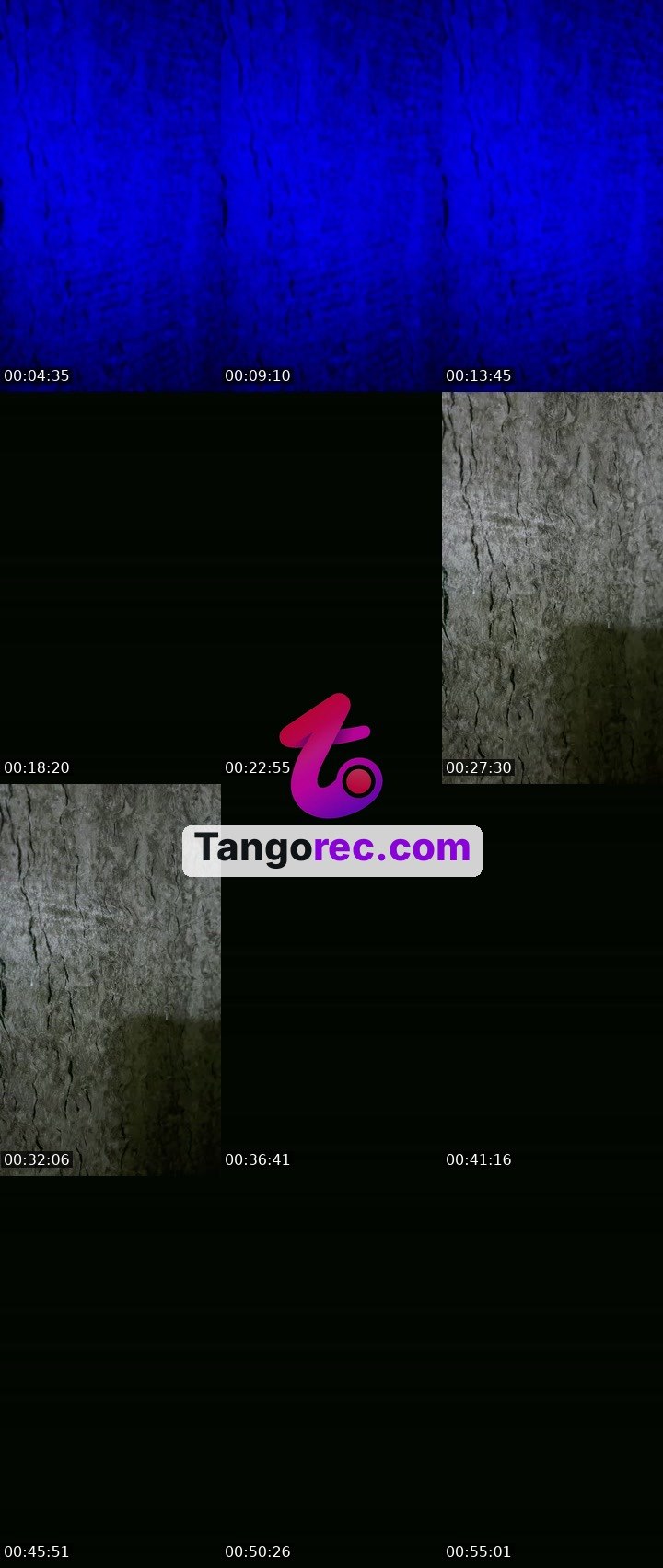 @nancyrajput1219 Tango live from 2026-09-01