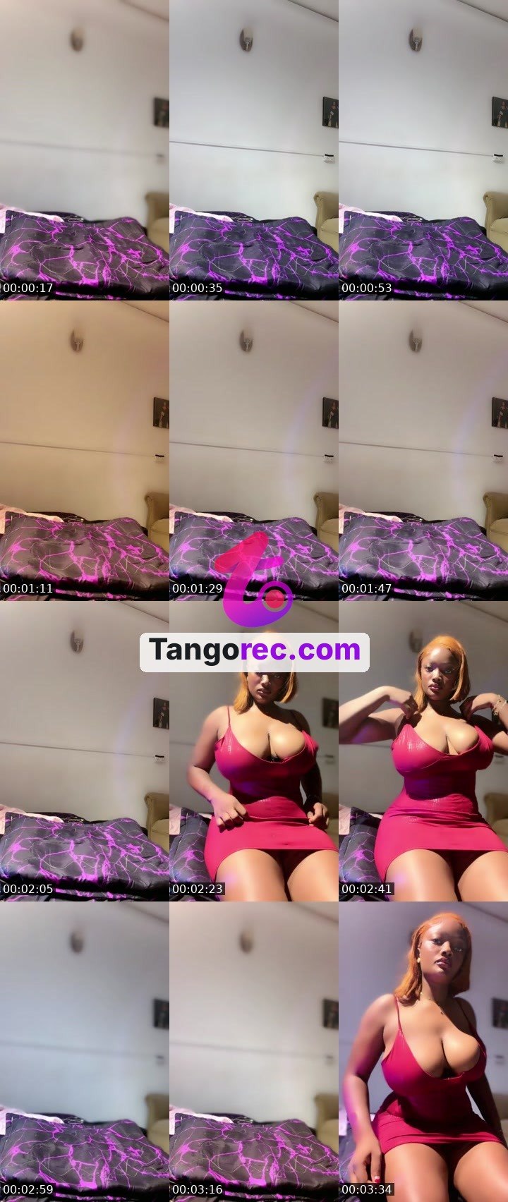 @lamborgin Tango live from 2026-09-01