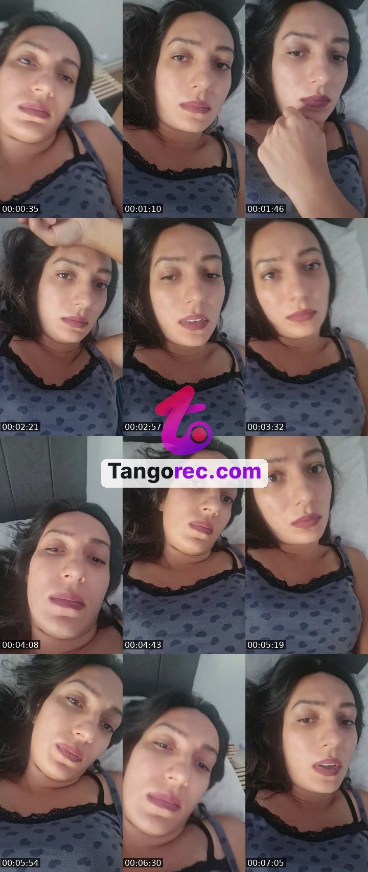 @boxingbear-248422 Tango live from 2026-09-01