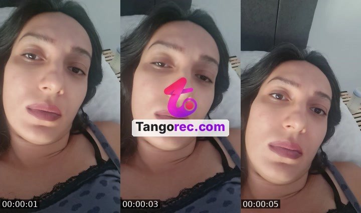 @boxingbear-248422 Tango live from 2026-09-01